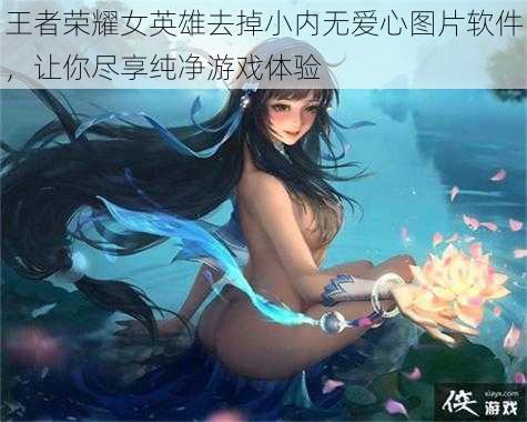 王者荣耀女英雄去掉小内无爱心图片软件，让你尽享纯净游戏体验