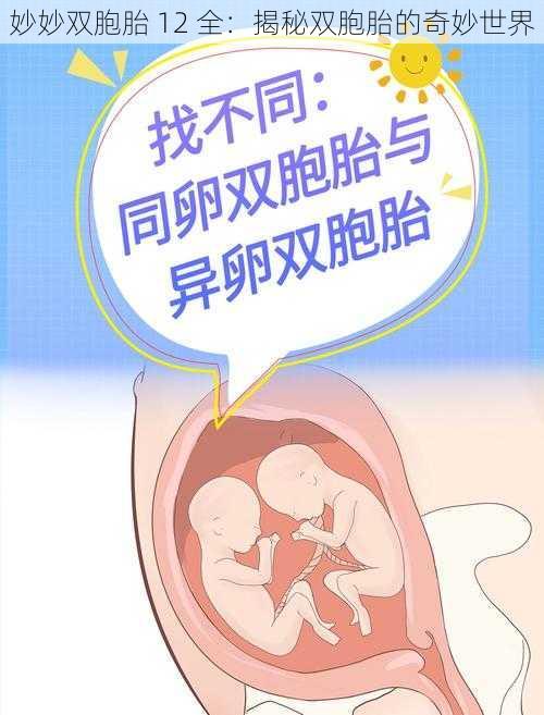 妙妙双胞胎 12 全：揭秘双胞胎的奇妙世界