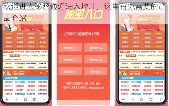 欢迎进入秘密通道进入地址，这里有你需要的产品介绍