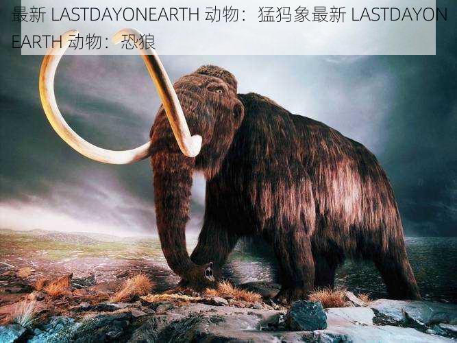 最新 LASTDAYONEARTH 动物：猛犸象最新 LASTDAYONEARTH 动物：恐狼