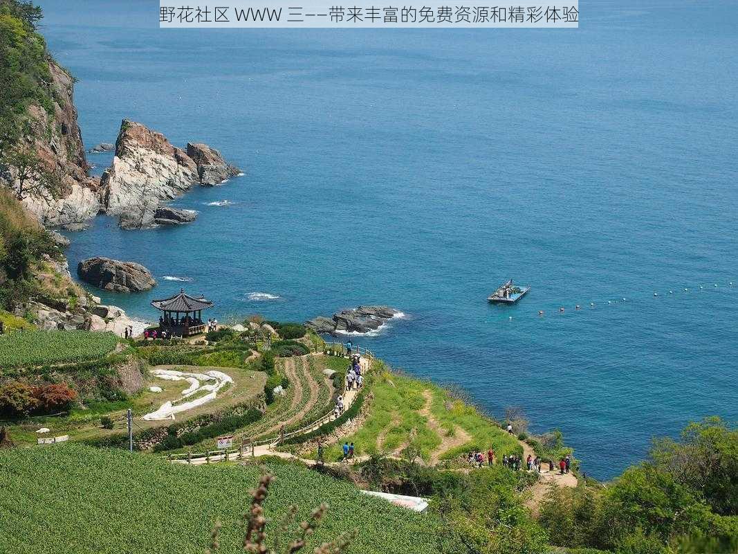 野花社区 WWW 三——带来丰富的免费资源和精彩体验