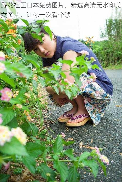 野花社区日本免费图片，精选高清无水印美女图片，让你一次看个够