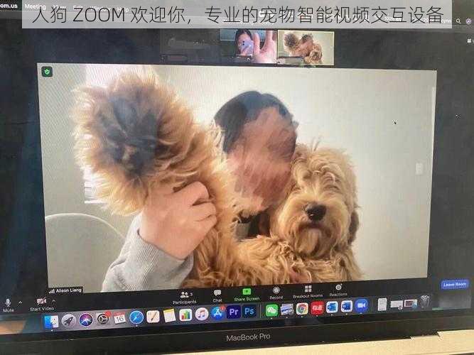 人狗 ZOOM 欢迎你，专业的宠物智能视频交互设备