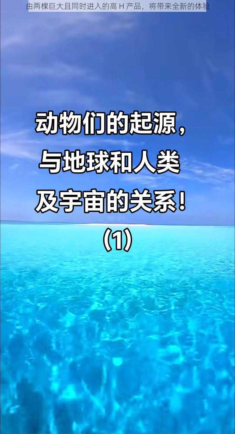 由两棵巨大且同时进入的高 H 产品，将带来全新的体验