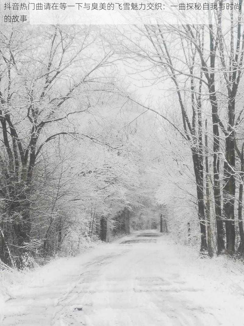 抖音热门曲请在等一下与臭美的飞雪魅力交织：一曲探秘自我与时尚的故事