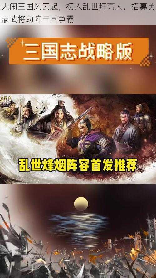 大闹三国风云起，初入乱世拜高人，招募英豪武将助阵三国争霸