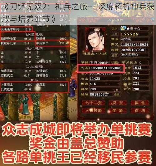 《刀锋无双2：神兵之旅——深度解析神兵获取与培养细节》