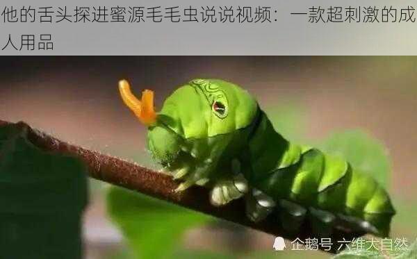 他的舌头探进蜜源毛毛虫说说视频：一款超刺激的成人用品