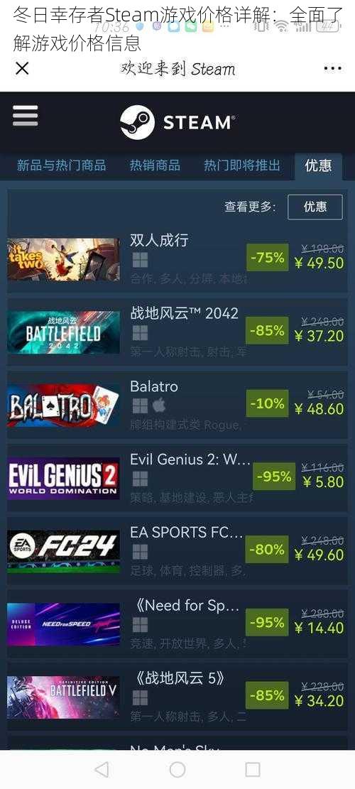 冬日幸存者Steam游戏价格详解：全面了解游戏价格信息