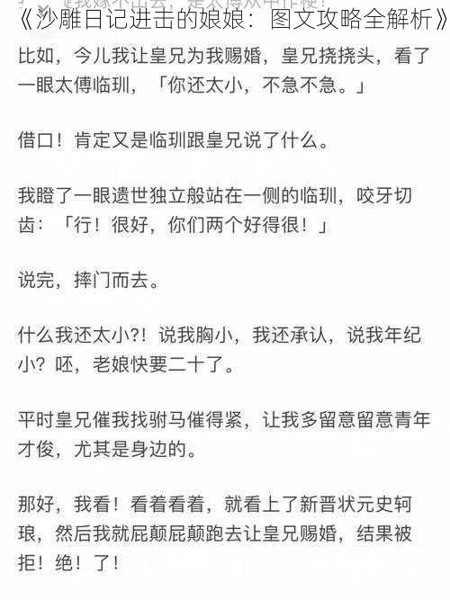 《沙雕日记进击的娘娘：图文攻略全解析》