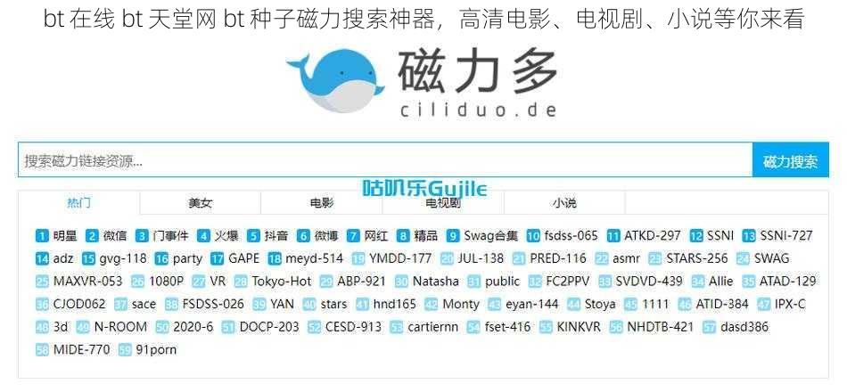 bt 在线 bt 天堂网 bt 种子磁力搜索神器，高清电影、电视剧、小说等你来看