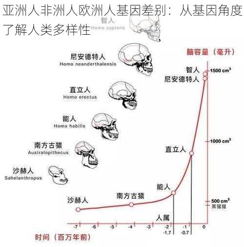 亚洲人非洲人欧洲人基因差别：从基因角度了解人类多样性