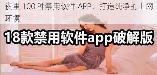 夜里 100 种禁用软件 APP：打造纯净的上网环境