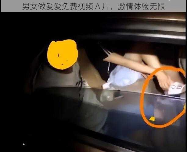 男女做爰爱免费视频 A 片，激情体验无限