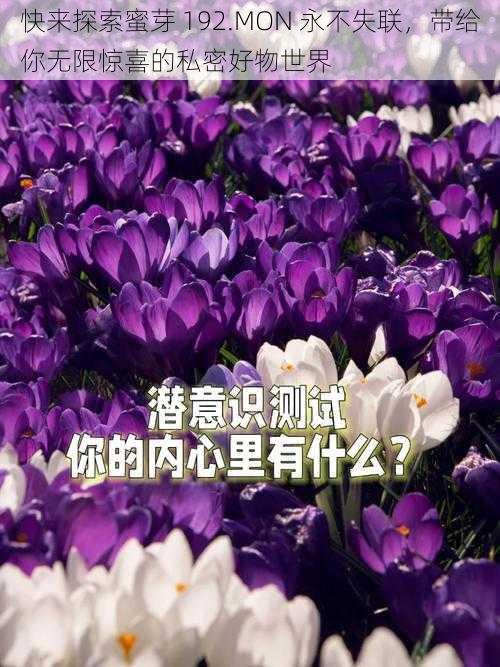 快来探索蜜芽 192.MON 永不失联，带给你无限惊喜的私密好物世界