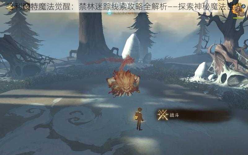 哈利波特魔法觉醒：禁林迷踪线索攻略全解析——探索神秘魔法世界