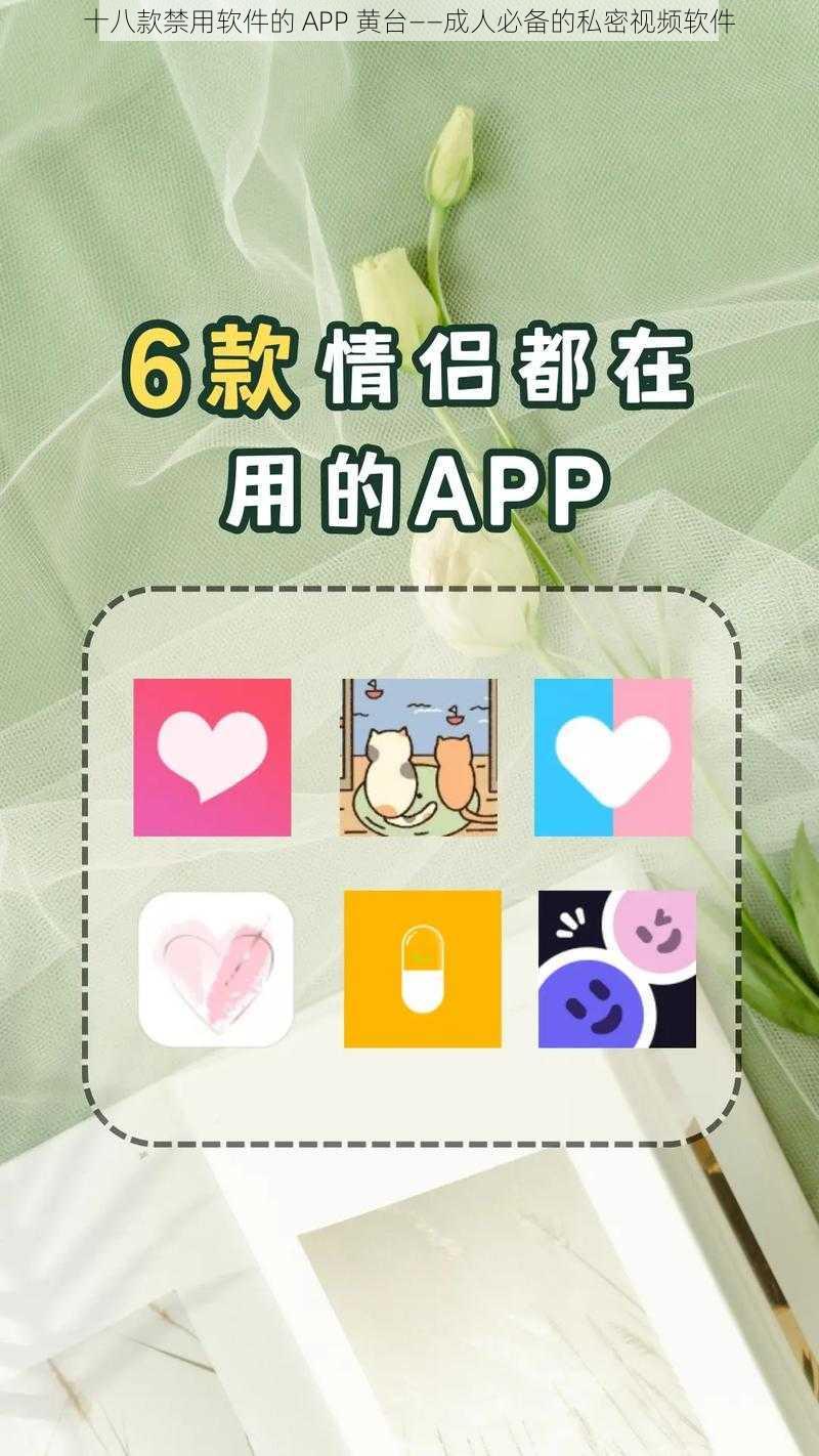 十八款禁用软件的 APP 黄台——成人必备的私密视频软件