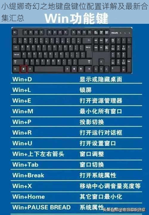 小缇娜奇幻之地键盘键位配置详解及最新合集汇总