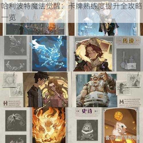 哈利波特魔法觉醒：卡牌熟练度提升全攻略一览