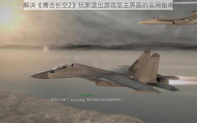 解决《鹰击长空2》玩家退出游戏至主界面的实用指南