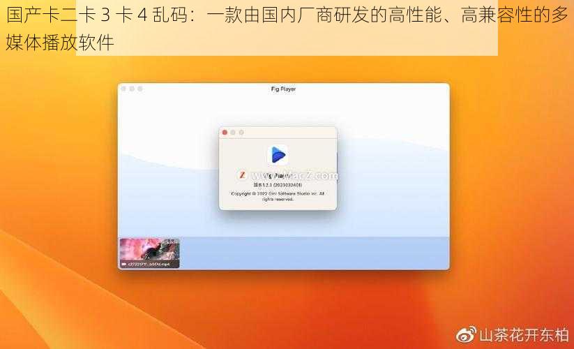 国产卡二卡 3 卡 4 乱码：一款由国内厂商研发的高性能、高兼容性的多媒体播放软件