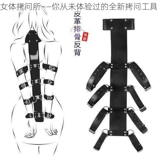 女体拷问所——你从未体验过的全新拷问工具