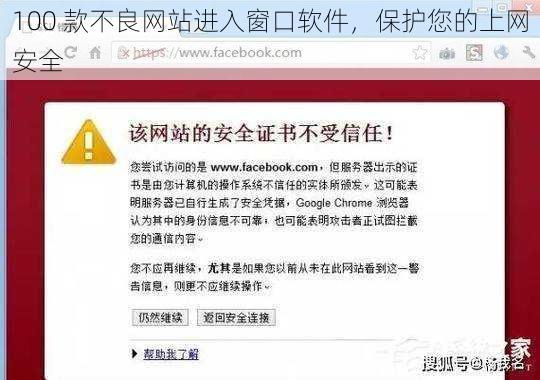 100 款不良网站进入窗口软件，保护您的上网安全