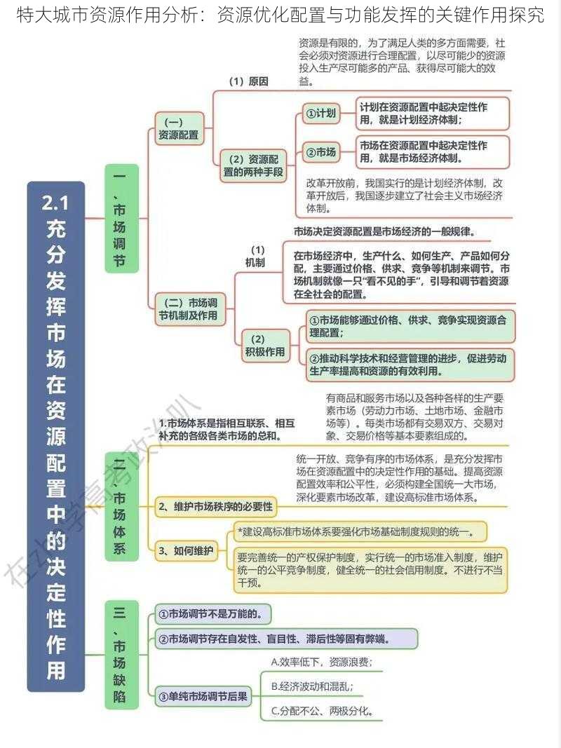 特大城市资源作用分析：资源优化配置与功能发挥的关键作用探究