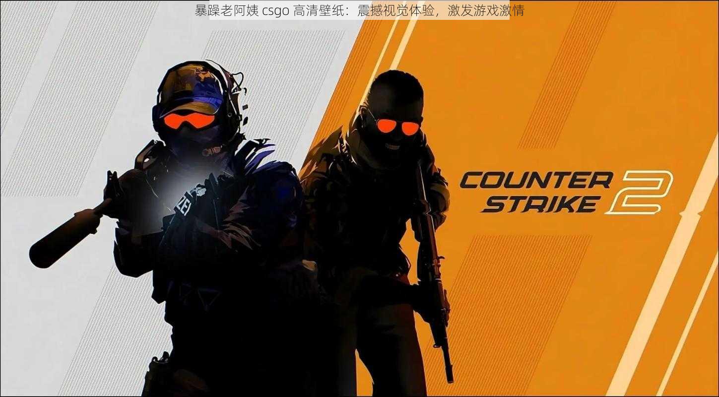 暴躁老阿姨 csgo 高清壁纸：震撼视觉体验，激发游戏激情