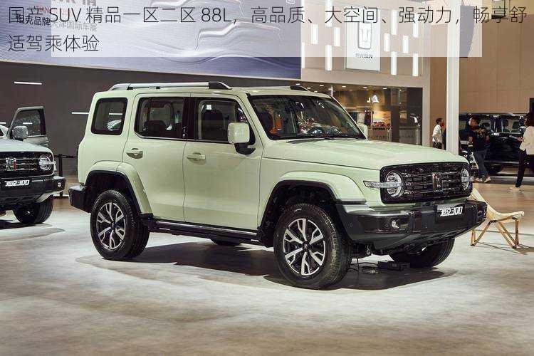 国产 SUV 精品一区二区 88L，高品质、大空间、强动力，畅享舒适驾乘体验