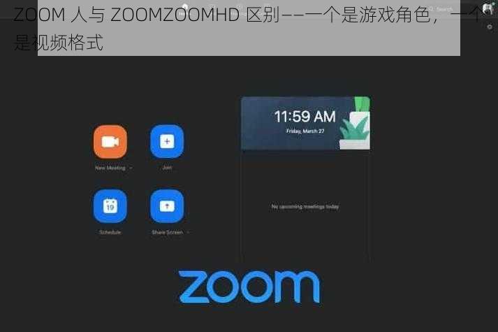 ZOOM 人与 ZOOMZOOMHD 区别——一个是游戏角色，一个是视频格式