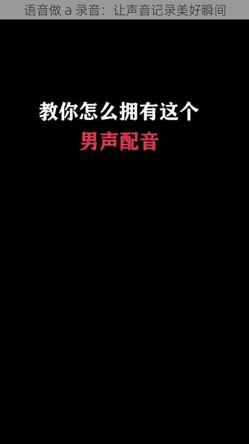 语音做 a 录音：让声音记录美好瞬间