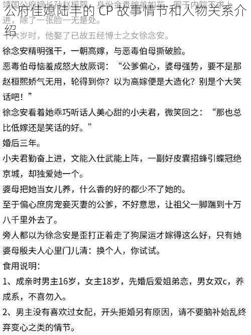 公府佳媳陆丰的 CP 故事情节和人物关系介绍