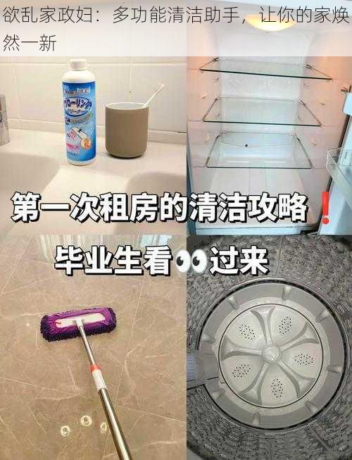 欲乱家政妇：多功能清洁助手，让你的家焕然一新