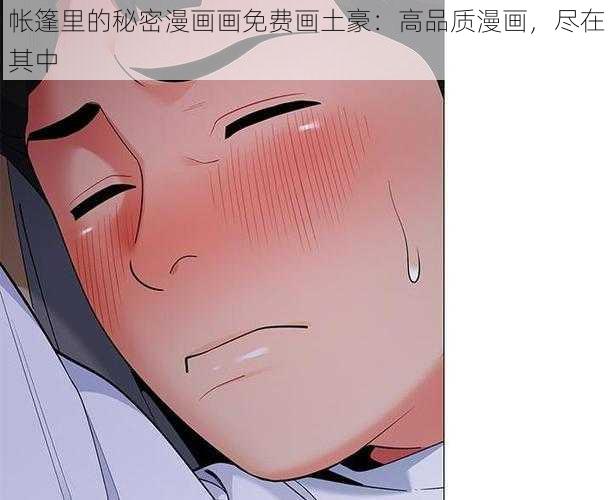 帐篷里的秘密漫画画免费画土豪：高品质漫画，尽在其中