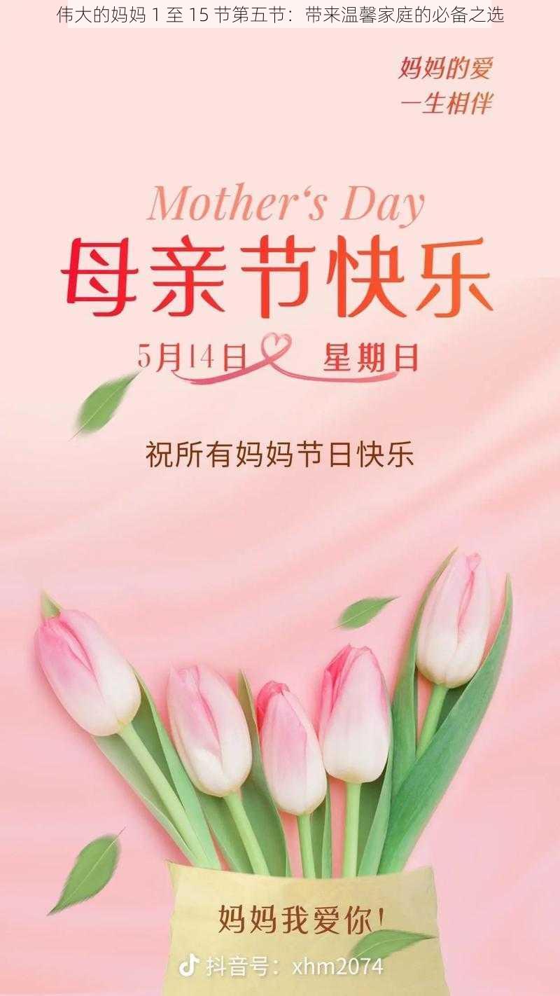 伟大的妈妈 1 至 15 节第五节：带来温馨家庭的必备之选