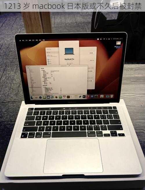 1213 岁 macbook 日本版或不久后被封禁