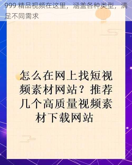 999 精品视频在这里，涵盖各种类型，满足不同需求