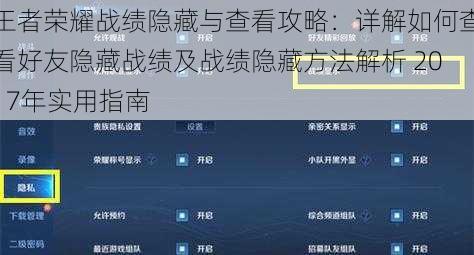 王者荣耀战绩隐藏与查看攻略：详解如何查看好友隐藏战绩及战绩隐藏方法解析 2017年实用指南