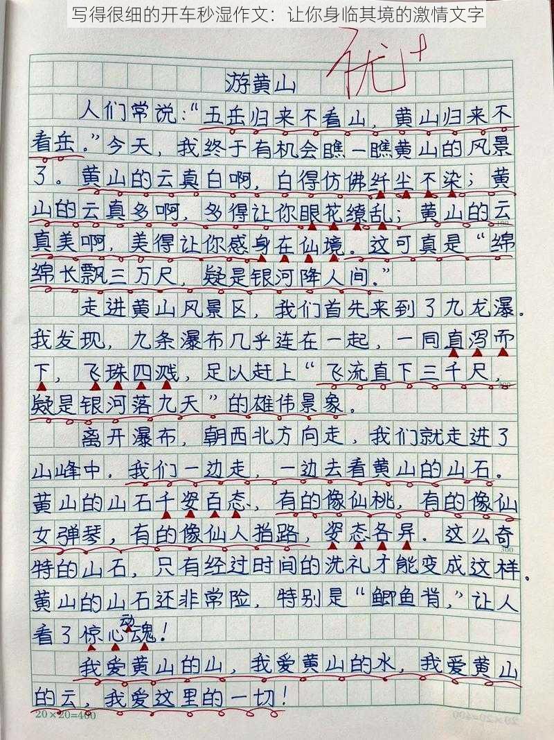 写得很细的开车秒湿作文：让你身临其境的激情文字