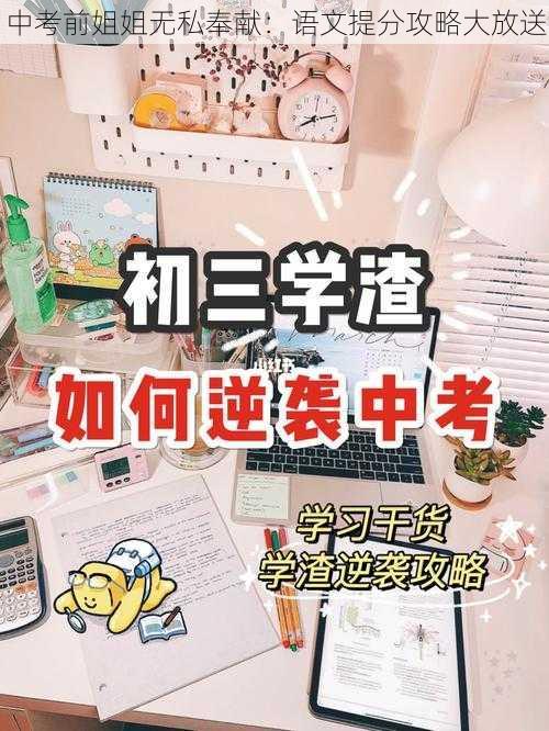 中考前姐姐无私奉献：语文提分攻略大放送