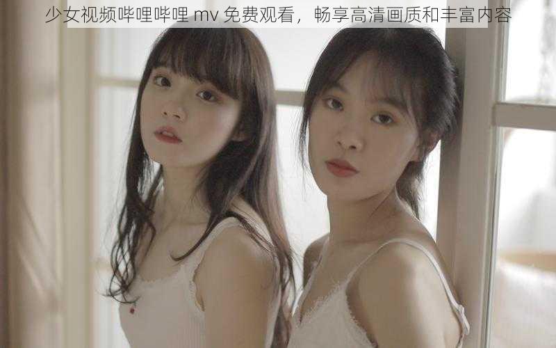 少女视频哔哩哔哩 mv 免费观看，畅享高清画质和丰富内容