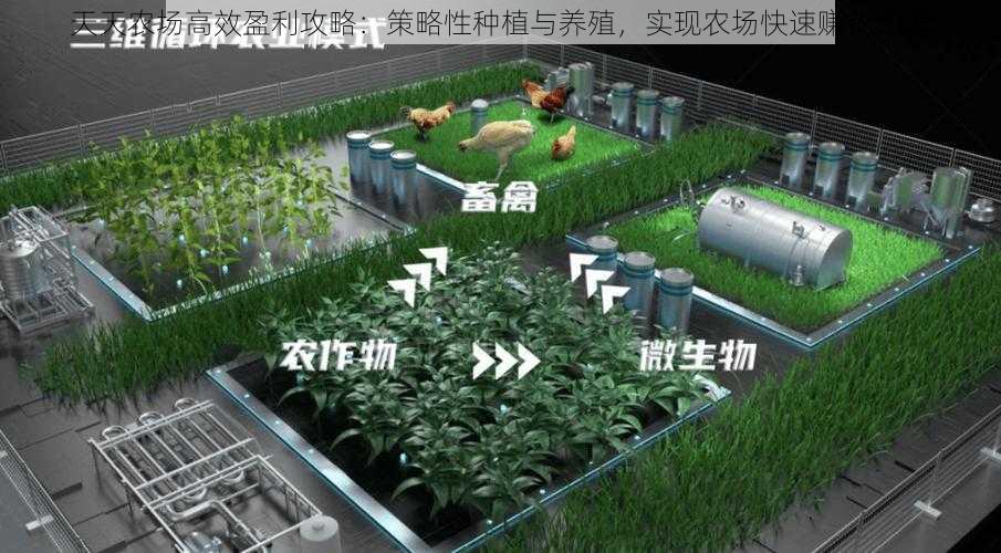 天天农场高效盈利攻略：策略性种植与养殖，实现农场快速赚钱之道