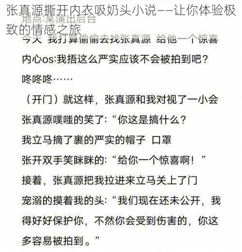 张真源撕开内衣吸奶头小说——让你体验极致的情感之旅