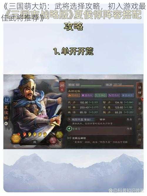 《三国萌大奶：武将选择攻略，初入游戏最佳武将推荐》