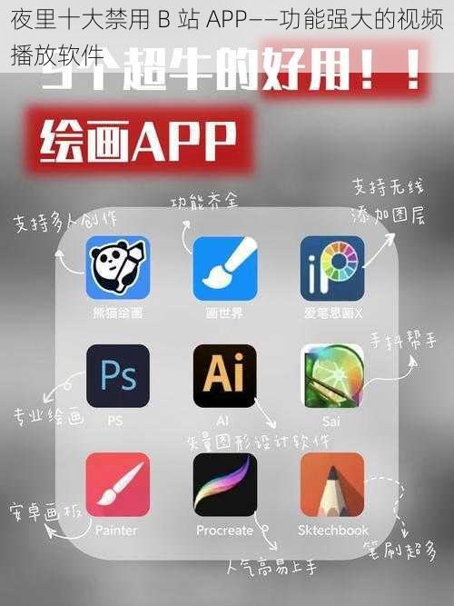 夜里十大禁用 B 站 APP——功能强大的视频播放软件