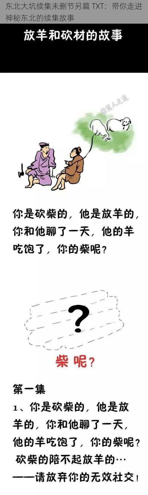 东北大坑续集未删节另篇 TXT：带你走进神秘东北的续集故事