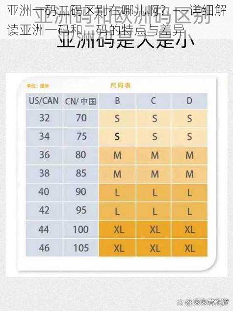 亚洲一码二码区别在哪儿啊？——详细解读亚洲一码和二码的特点与差异