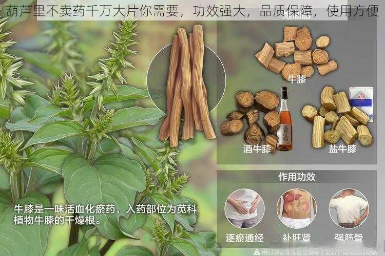 葫芦里不卖药千万大片你需要，功效强大，品质保障，使用方便