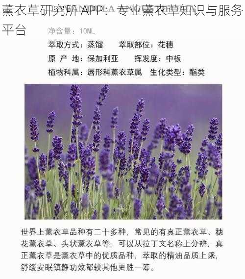 薰衣草研究所 APP：专业薰衣草知识与服务平台